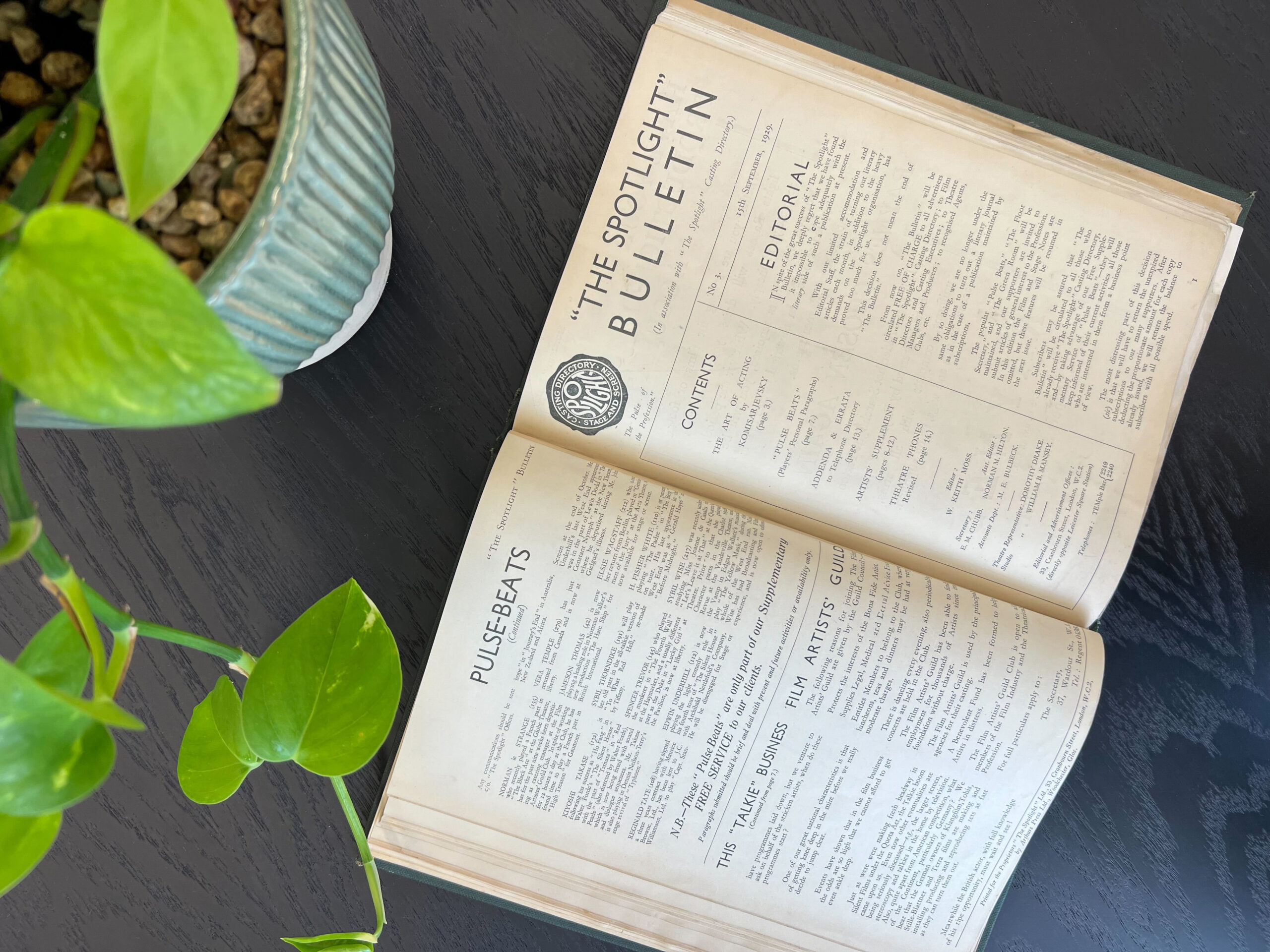 An open Spotlight bulletin lying on a table next to a plant